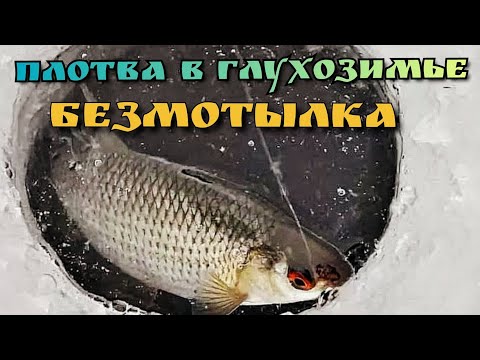 Видео: Зимняя рыбалка в феврале.Новая мормышка хорошо себя показала в пик глухозимье