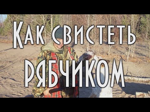 Видео: Как свистит рябчик,  Учимся подманивать рябчика. [4К] Охота 🐣