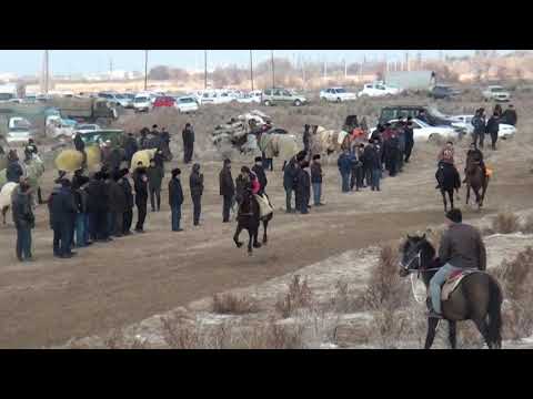 Видео: Ат шабыс той 02.02.2019 3-болим. Horse racing in the village