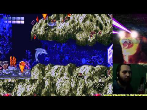 Видео: Васильковый дельфин Ecco The Dolphin 1