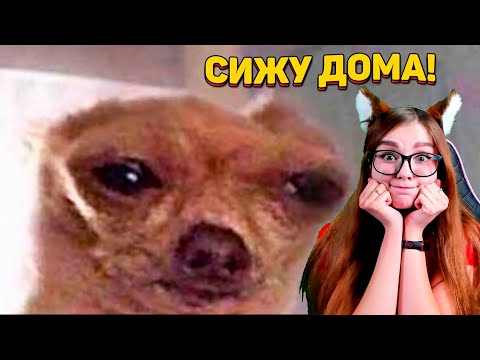 Видео: 10 МИНУТ СМЕХА! ЗАСМЕЯЛСЯ - ПРОИГРАЛ! СОЮЗ СМЕХА #184 РЕАКЦИЯ