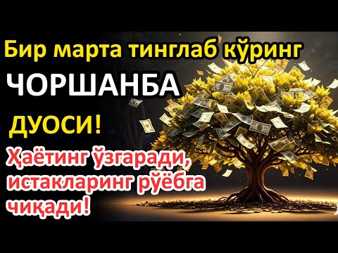Видео: ЧОРШАНБА куни Пайғамбар Муҳаммад ﷺ дуоси, инша Аллоҳ, омонлик, бойлик ва муваффақият келтиради