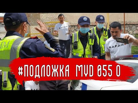 Видео: Жетекчиси жемкорбу? MVD 055 О