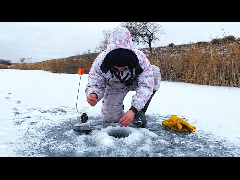 Видео: ВПЕРВЫЕ ТАКОЕ ВИЖУ! Успел поставить лишь 6 жерлиц! Щука на жерлицы 2023-2024!