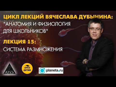 Видео: Вячеслав Дубынин: "Система размножения" (Лекция 15)