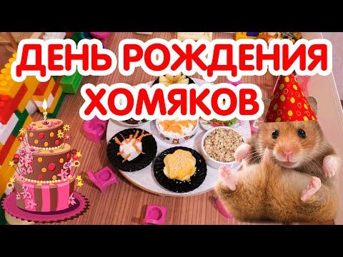 Видео: ДЕНЬ РОЖДЕНИЯ ХОМЯКОВ | ХОМЯЧКАМ 1 МЕСЯЦ