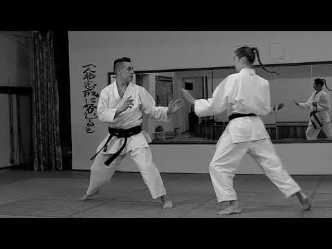 Видео: Программа квалификационного экзамена 1 дан WKC по стилю шотокан (сётокан)