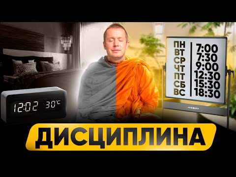 Видео: Дисциплина в бизнесе решает ВСЕ. Без этого успеха НЕ достичь