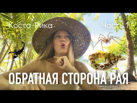 Видео: Коста Рика. О чем не договаривают туристам. Минусы жизни в тропическом раю. Часть 1