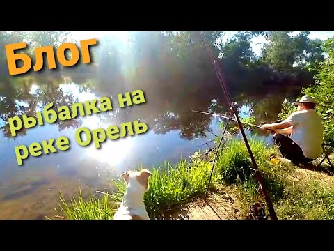 Видео: Рыбалка удалась, река ОРЕЛЬ, много карасей, поймали черепаху, отдых супер. Домашний Блог