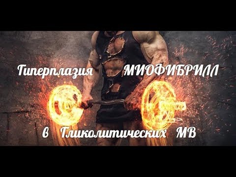 Видео: Гиперплазия МИОФИБРИЛЛ в Гликолитических МВ по Виктору Николаевичу Селуянову