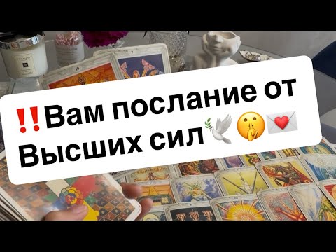 Видео: ‼️Вам послание от Высших сил🕊️❤️💌