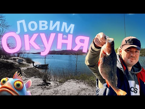 Видео: Рыбалка на окуня... и тут ХВАТАЕТ ЩУКА! 🔥🔥🔥