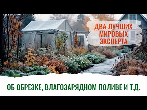 Видео: Осенний, живительный полив в октябре. Что нужно успеть сделать в саду? Смотрите