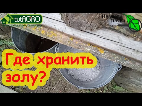 Видео: ВСЕ ТОНКОСТИ ИСПОЛЬЗОВАНИЯ ЗОЛЫ КАК УДОБРЕНИЯ. Осеннее, весеннее, летнее и даже зимнее удобрение.