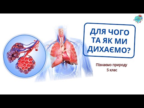 Видео: Як і для чого ми дихаємо? Дихальна система людини.