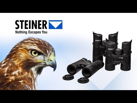 Видео: Steiner - ничто не скроется от вас