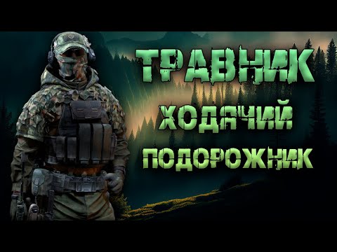 Видео: Травник  - ходячий подорожник! ● Калибр ● Обзор оперативника!
