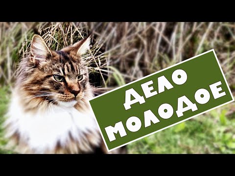 Видео: Что бы я в молодости сделал по другому?