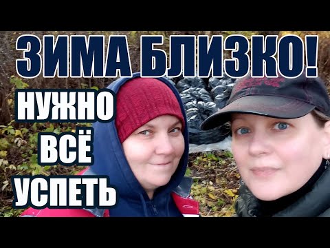 Видео: 50. САД К ЗИМЕ ГОТОВ! КОМПОСТ. КУХНЯ НА КОСТРЕ.