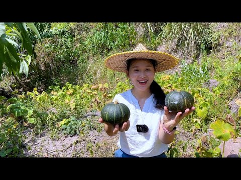 Видео: Специальная практика тыквы Бэйбэй, трое детей спешат поесть