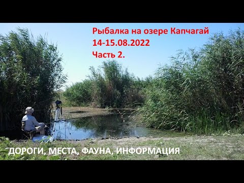 Видео: Рыбалка на озере Капчагай 14-15.08.2022  2-я часть видео.