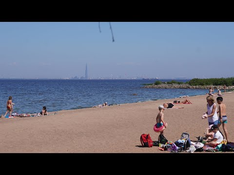 Видео: Петергоф, Александрия, пляж и водяные лилии, 27 июня 2024 года