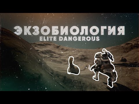 Видео: ЭКЗОБИОЛОГИЯ | ELITE DANGEROUS: Odyssey | Гайд для новичков