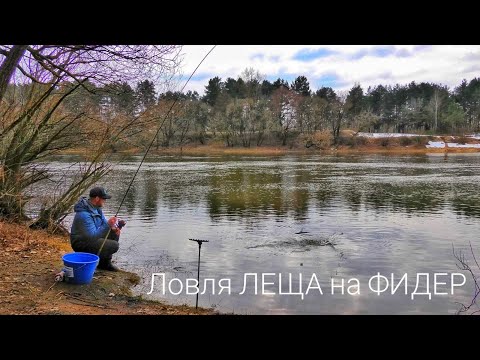 Видео: Весенняя ловля ЛЕЩА на ФИДЕР / Река Неман / Рыбалка в Беларуси