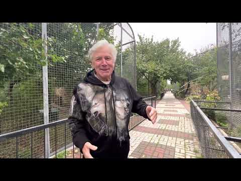 Видео: 3 ДНЯ ДО СУДА! Николай Павленко о том, КТО  виноват в ТРАВМЕ РЕБЁНКА и насколько прочна сетка !?