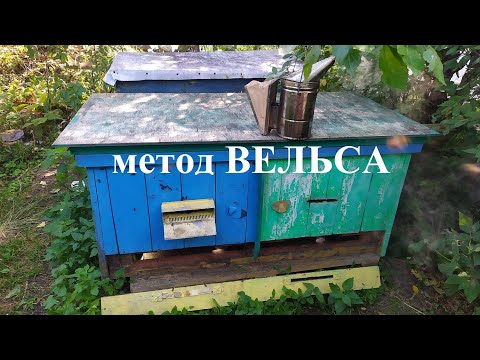 Видео: метод ВЕЛЬСА