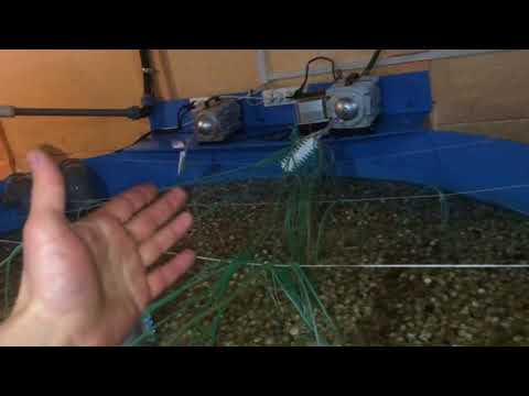 Видео: tпервая глупая авария в моем узв для форели