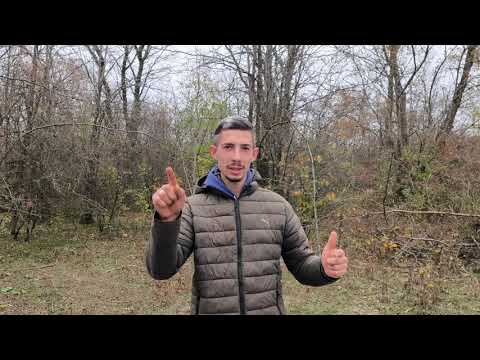 Видео: Предупреждаем Мышей на пасеке! 🤔🙂🐭🐭🐭⚡