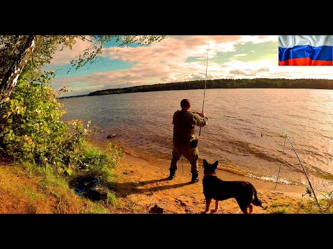 Видео: Рыбалка . На место не проехал, с погодой не угадал, в клёв не попал, но без рыбы не остался.