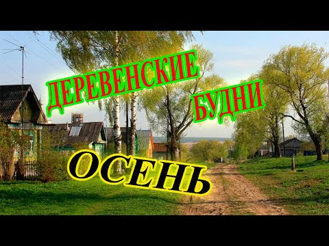 Видео: Деревенские будни. Осень пришла.