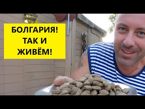 Видео: Болгария! Так и живём! Новый дом!