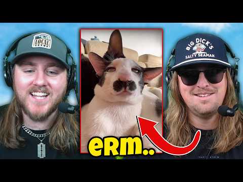 Видео: 🍗 МЕМЫ С КУРИЦЕЙ БАРБЕКЮ 🍗