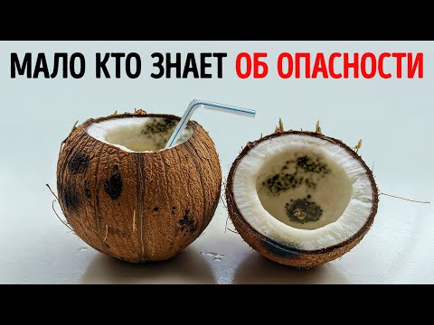 Видео: 101 любопытный факт, которым стоит поделиться в подходящий момент