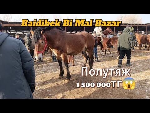Видео: Малаводный Мал Базар | Байдибек Би Мал Базар | 15.12.2024