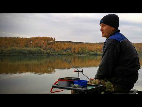 Видео: Фидер на сильном течении. Рыбалка на фидер осенью 2024. Поклевки на фидер ЯЗЯ.