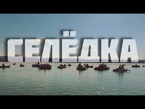 Видео: КЛЮЕТ КАК ИЗ ПУЛЕМЕТА! СЕЛЕДКА ОТРЫВАЕТ КРЮЧКИ! ПРИГОТОВЛЕНИЕ Закрытие сезона | Морская рыбалка