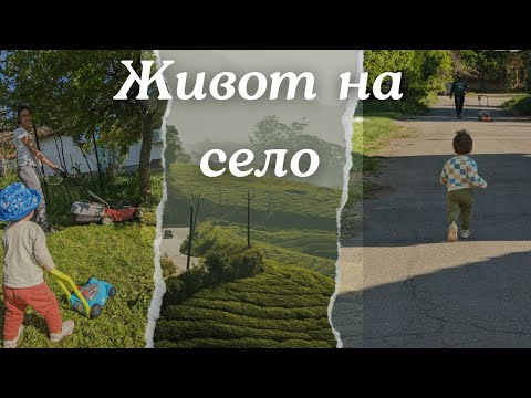 Видео: ЖИВОТ НА СЕЛО: Зеленчуци, Деца и Животни