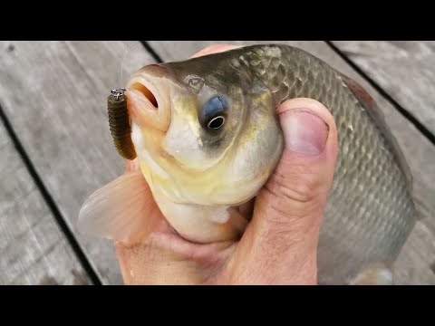 Видео: МОРМЫШИНГ на не знакомом водоеме.