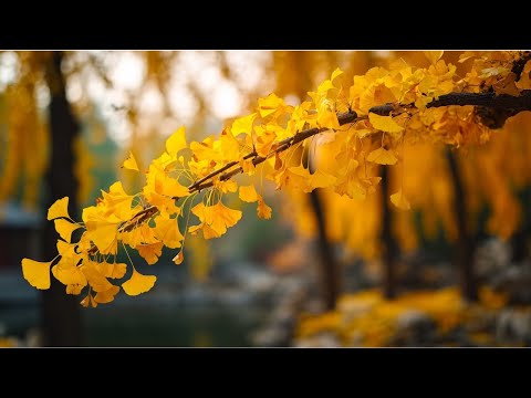 Видео: ВОССТАНОВЛЕНИЕ НЕРВНОЙ СИСТЕМЫ - Осень - Что такое осень! Почему все плачут под эту песню?