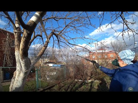 Видео: Наш супер способ обработки сада