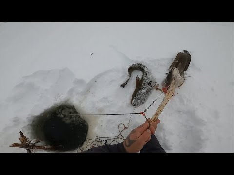 Видео: Рыбалка,Рынок и улов..13