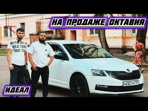 Видео: Шкода Октавия-2019 САТЫЛАТ#89697131010