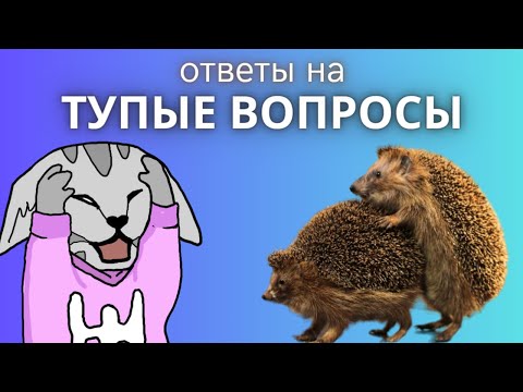 Видео: ВОПРОСЫ, НА КОТОРЫЕ НЕ ОТВЕЧАЮТ НОРМАЛЬНЫЕ БЛОГГЕРЫ