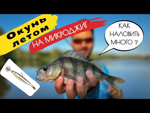 Видео: Как НАЛОВИТЬ МНОГО ОКУНЯ на МИКРОДЖИГ. Летний спиннинг на реке! Окунь дуреет от этой..