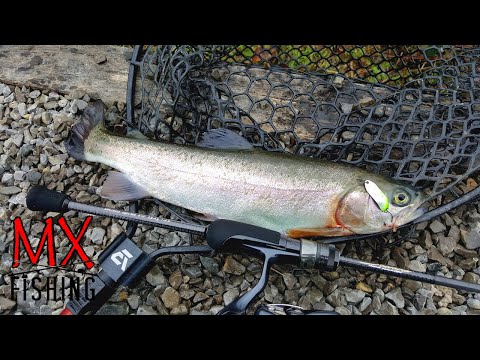 Видео: (П)Трудовая форель/ Конец октября